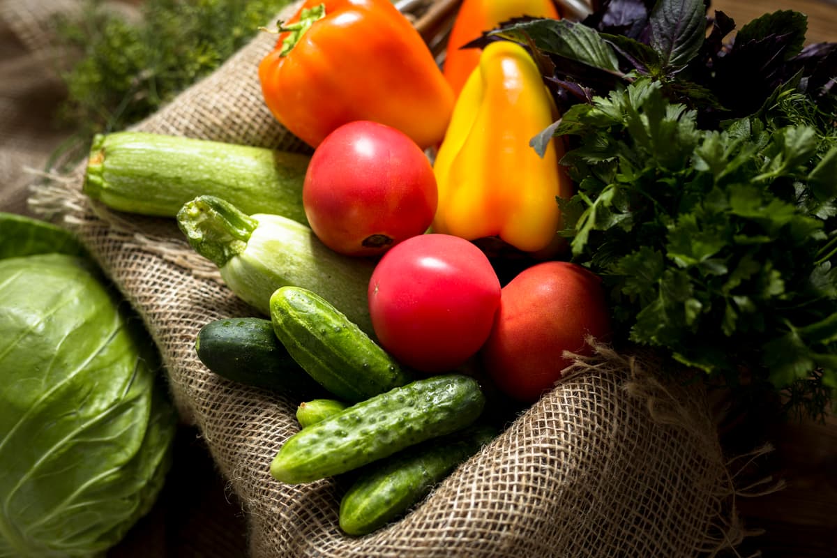 Agricultural Procurement